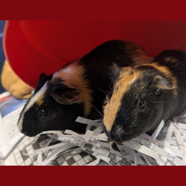 Photo of Breakfast Boyz