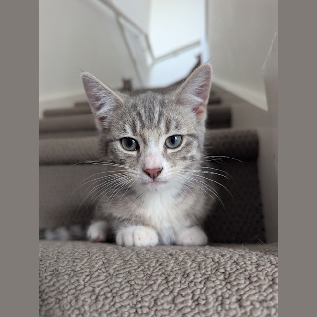 Photo of Isabella Scotty