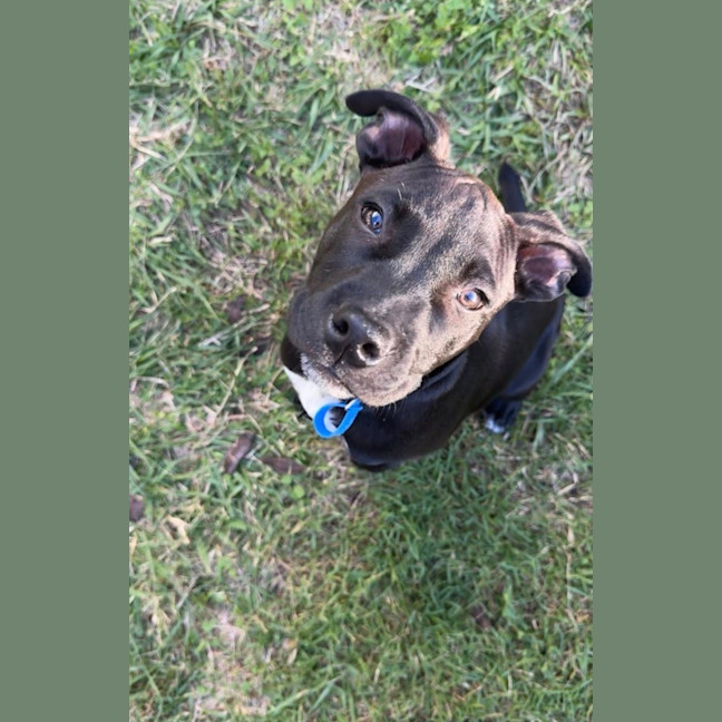 Photo of Coal