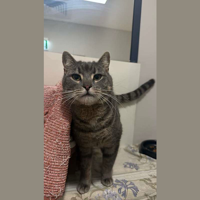 Photo of Clyde