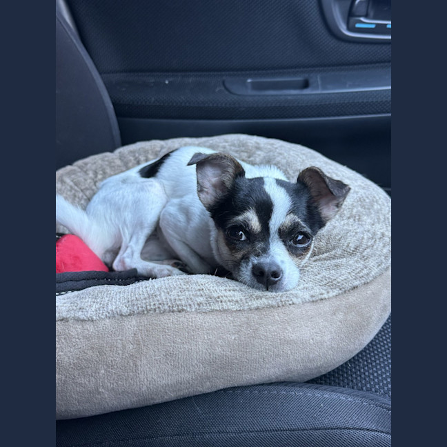 Photo of Mimi