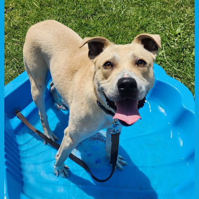 Photo of Mark (67663)