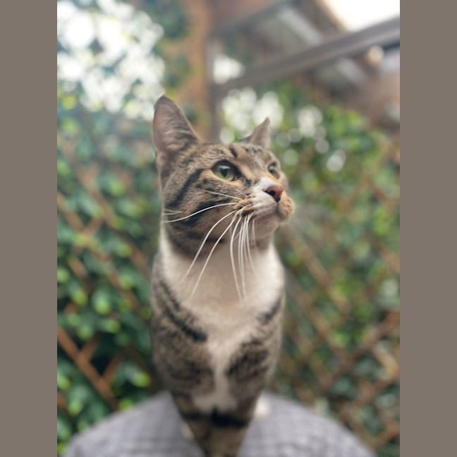 Photo of Sutton   Best Buds With Kevin   Check His Profile