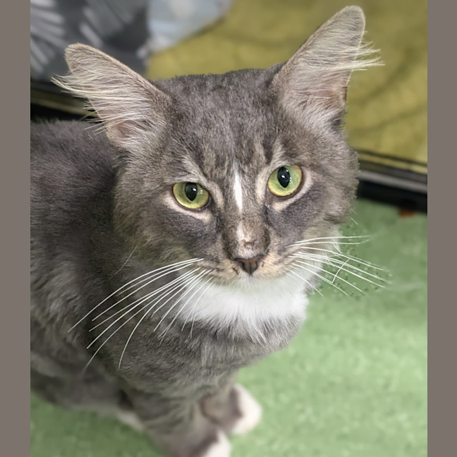 Photo of Mishu