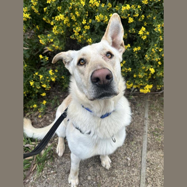 Photo of Duke