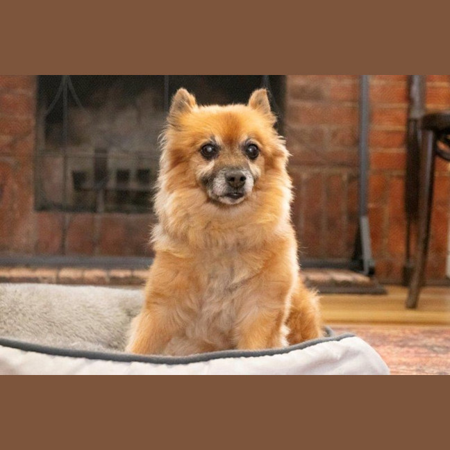 Photo of Maxy O’cleary