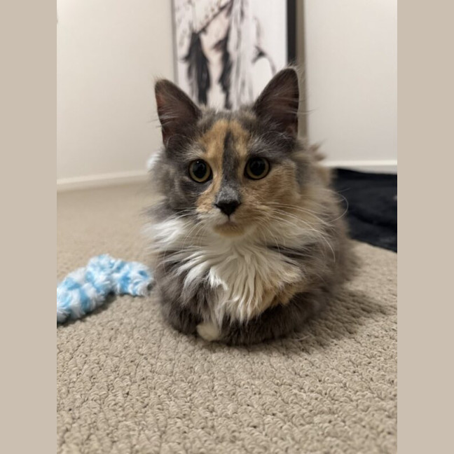Photo of Hazel