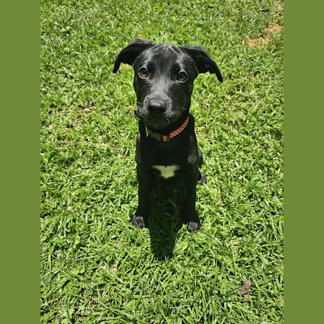 Photo of Lumi