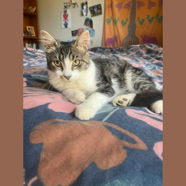 Photo of Sage