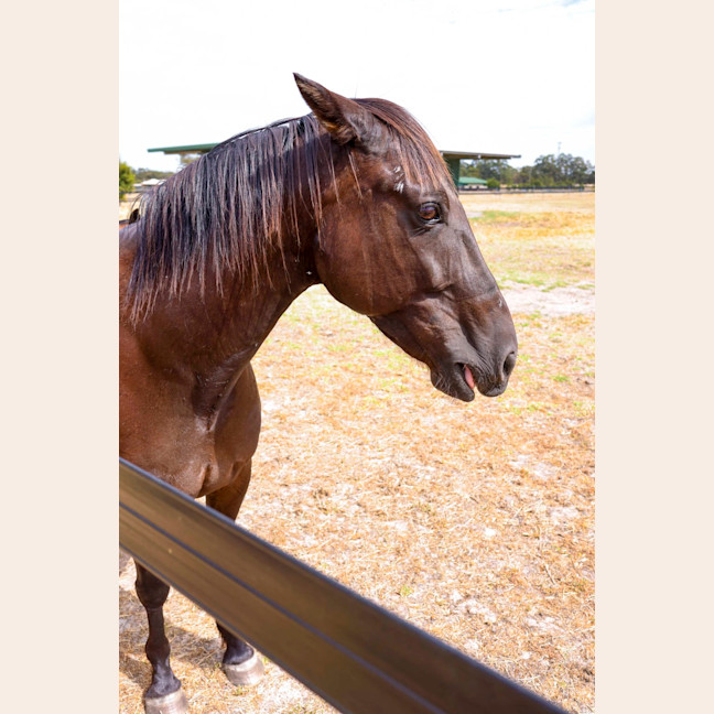 Photo of Zinc