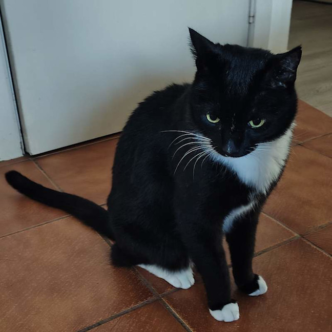 Photo of Lucky