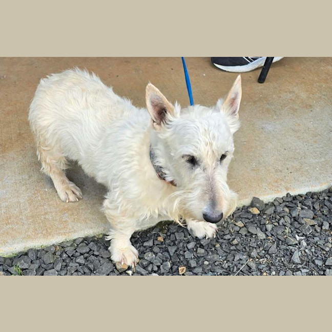 Photo of Zeira