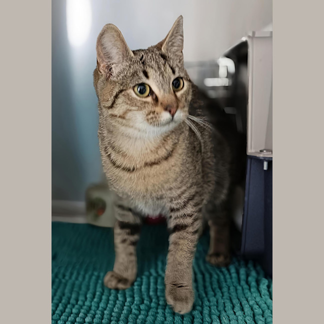 Photo of Hazel