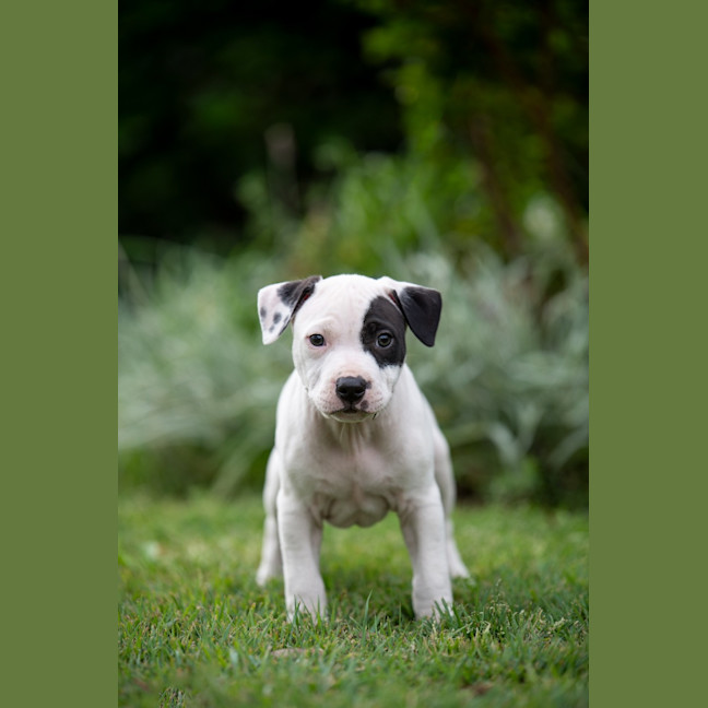 Photo of Rookie