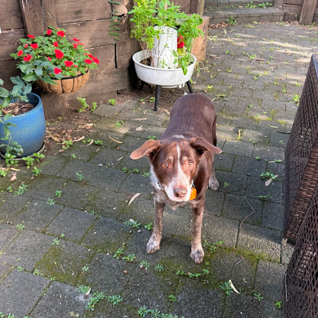 Photo of Hugo 