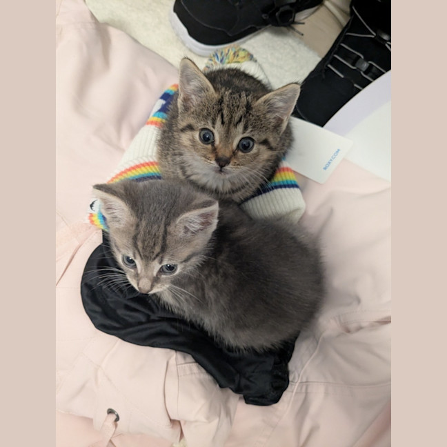 Photo of Juliet & Storm