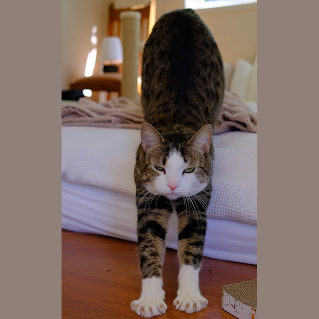 Photo of Lily