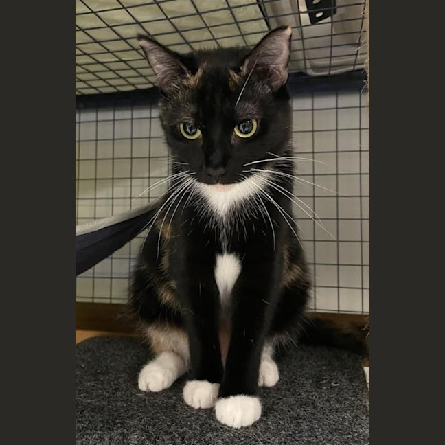 Photo of Prue & Trude