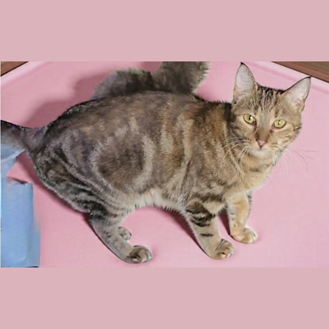 Photo of Bessy