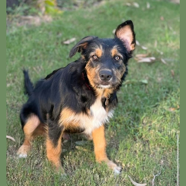 Photo of Kingston