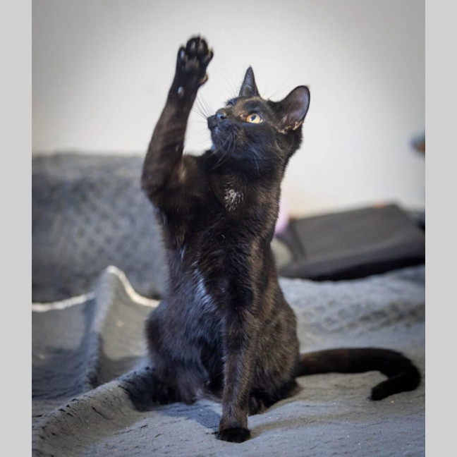 Photo of Schwartz & Aella