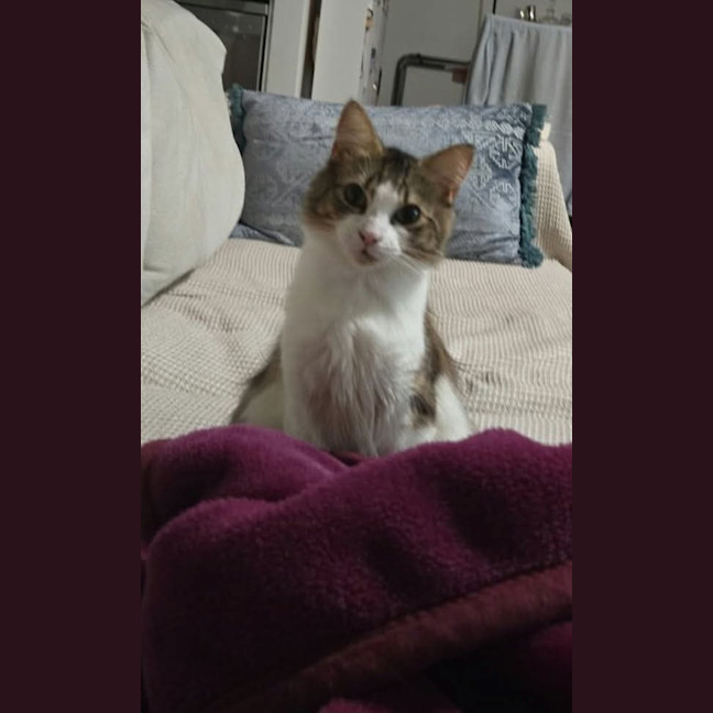 Photo of Evangeline 