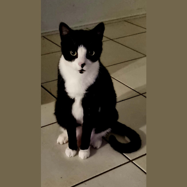 Photo of Ritchie