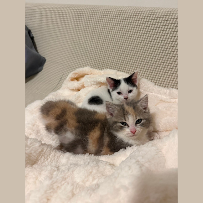 Photo of Josie (With Margo)