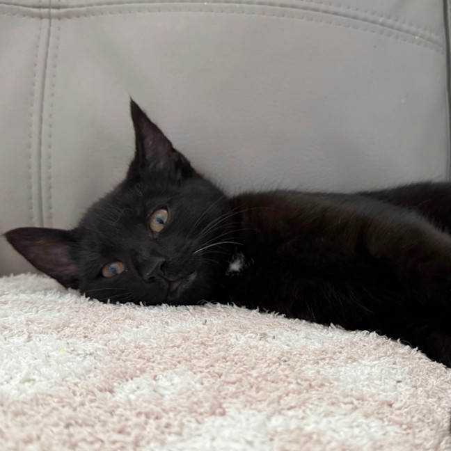 Photo of Banksy 🎨