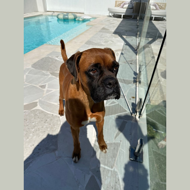 Photo of Tilly & Teddy