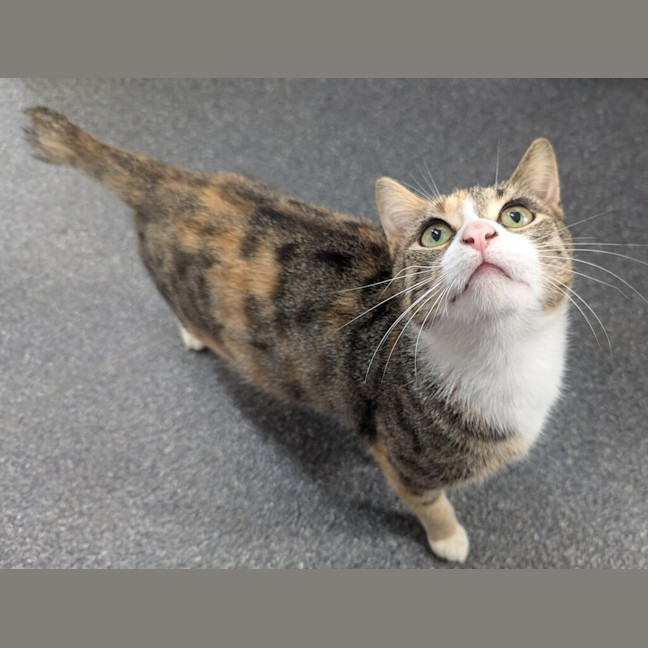Photo of Dorothy
