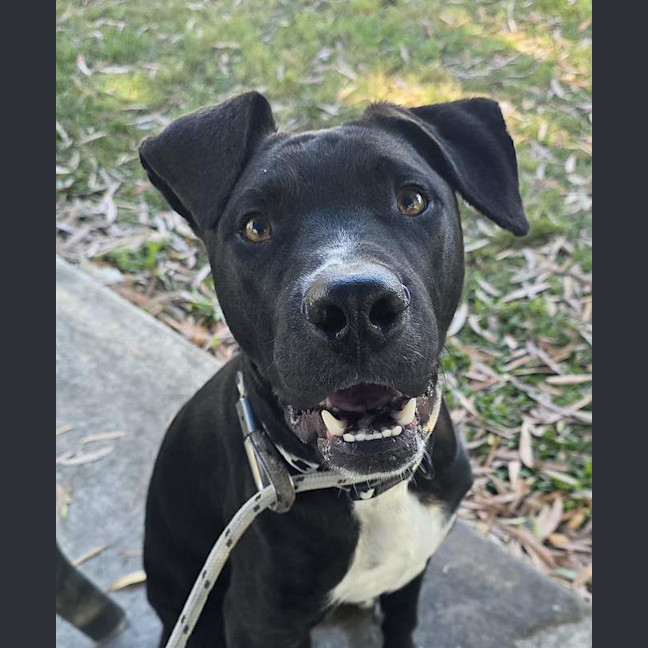 Photo of Bert