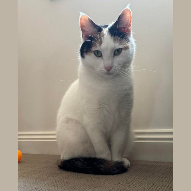 Photo of Fleur