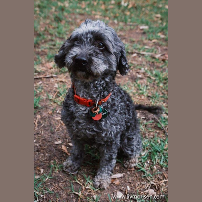 Photo of Oscar And Annika Newhaven