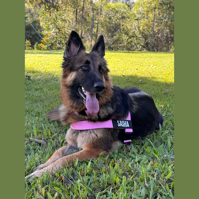 Photo of Sasha