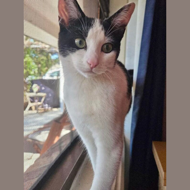 Photo of Maggie