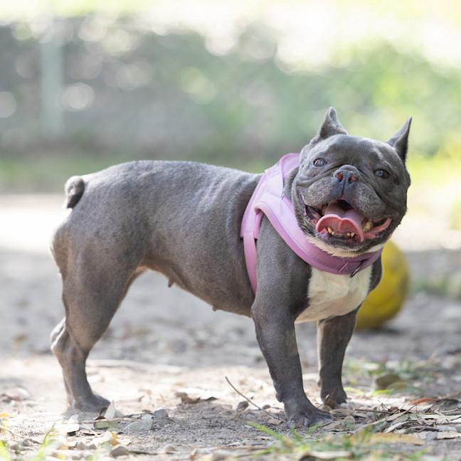Photo of Nora