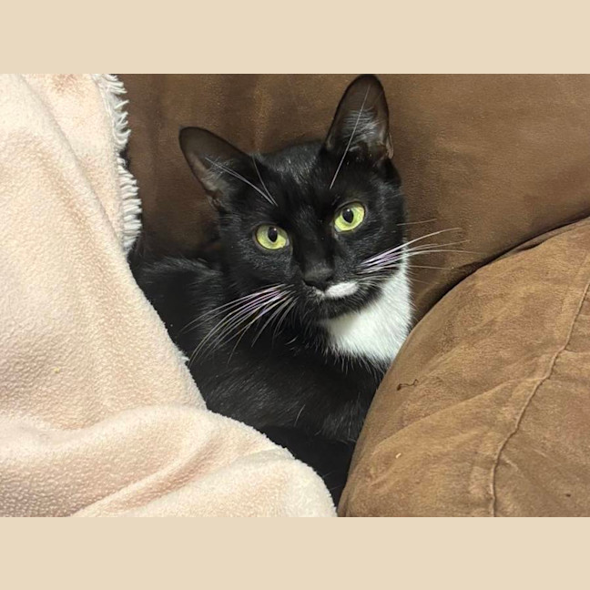 Photo of 🥰 Patricia 🥰