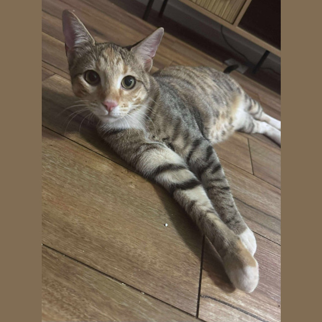 Photo of Elsie