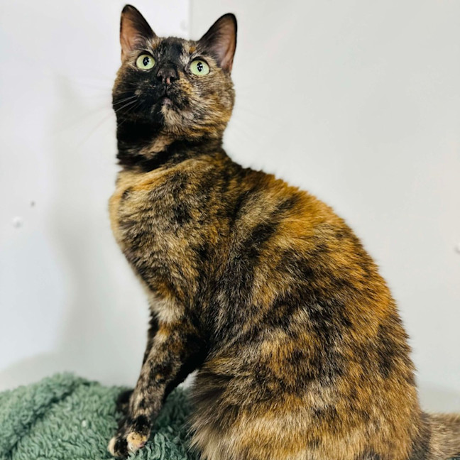 Photo of Kitlyn   Located In Preston