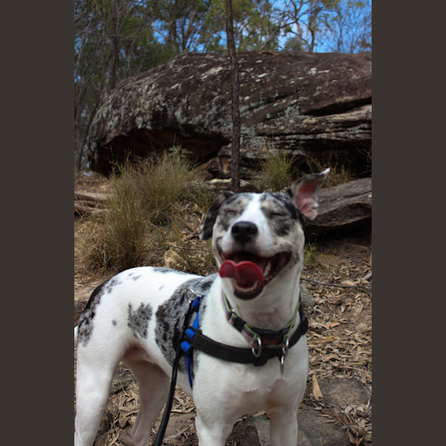 Photo of Abby