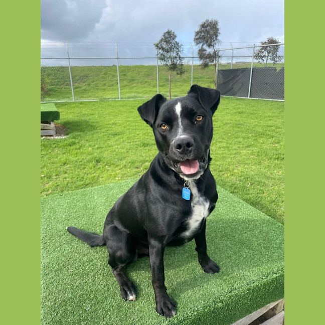 Photo of Storm