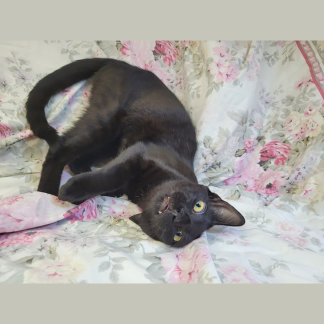 Photo of Pretzel 🥨