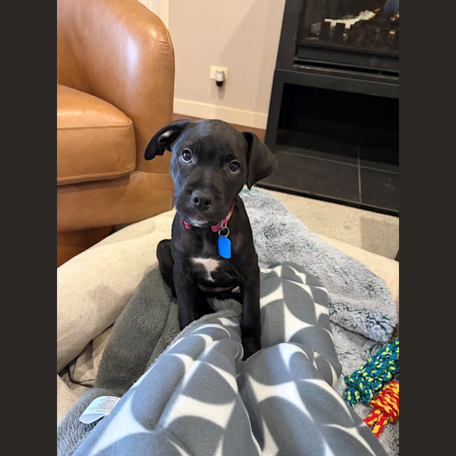 Photo of Betty