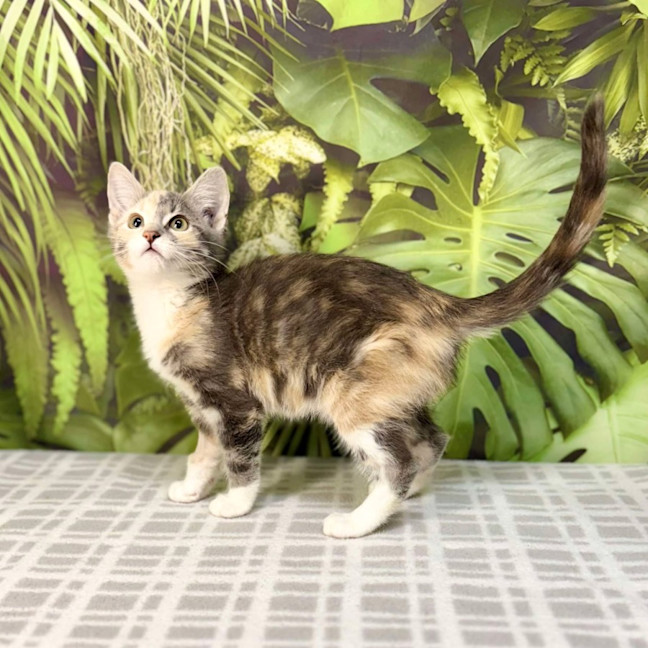 Photo of Uliana   Meet Me At Vets On Parker Templestowe