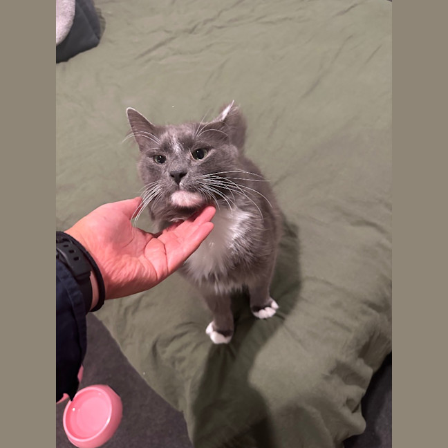 Photo of Professor Pringle