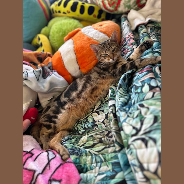 Photo of Glinda And Cruise