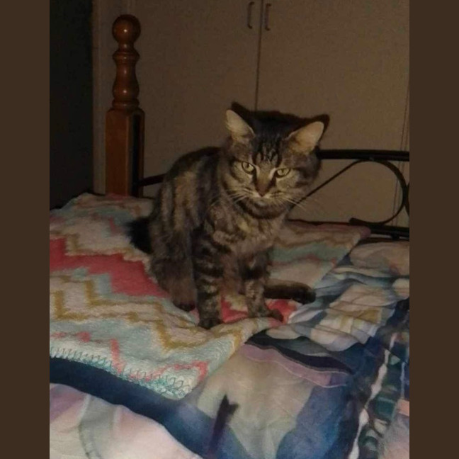 Photo of Nashi (Quinn)