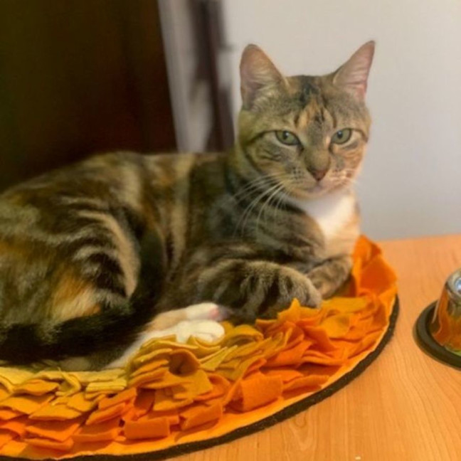 Photo of Maisey 🌹🌹