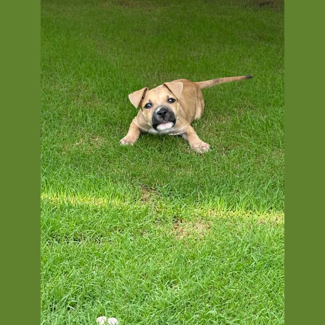 Photo of Tiny